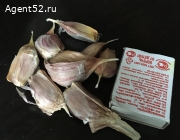 Продам чеснок зубками